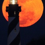 Image: AP Photo/St. Augustine Record, Daron Dean