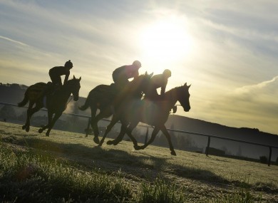 Trainer Dessie Hughes' horses exercise on the gallops at Cheltenham yesterday.