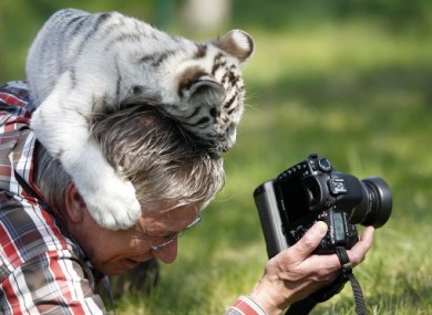 Someone really doesn't want their photo taken...
