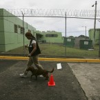 He was caught trespassing at a women's prison in Italy (Oct. 2010):
He and his brother felt like checking out a women's prison, so they drove right in.
It turns out you can't do that, and police stopped them at the gates.
After, Mario told Italian TV,