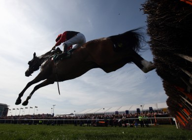 Celestial Halo in action last season. How will he fare this afternoon?