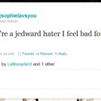 One Jedward fan dismissed criticisms from 'haters'