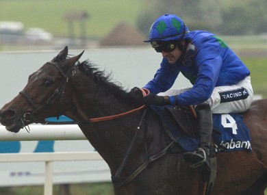 Ruby Walsh wins the Rabobank Champion Hurdle on Hurricane Fly at Punchestown.
