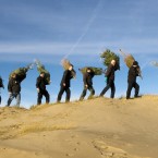 Donated Christmas trees are planted to protect the sand dunes on Formby beach in Lancashire, England. Image: Bob Collier/PA Wire