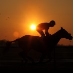A horse and jockey are silhouetted during the last race of the day on the all weather track at Lingfield Park Racecourse.