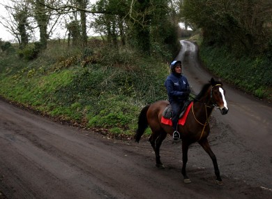 Kauto Star on the Ditcheat gallops (file photo).
