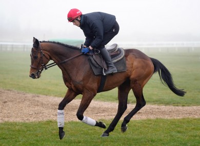 Hurricane fly and jockey Paul Townend on the Gallops.