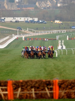 The Coral Cup field.