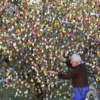 Volker Kraft decorates a tree with 10,000 Easter eggs in his garden in Saalfeld, Germany, Wednesday, March 21, 2012. The Kraft family has been decorating their tree for Easter for more than forty years. (AP Photo/Jens Meyer)