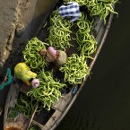 Indian farmers unload cucumbers from a boat as they take them to market in Allahabad,northern India.(AP Photo/Rajesh Kumar Singh)