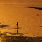 An Indian tosses a rope with a magnet attached at its end into the water as he drags for coins thrown by Hindu devotees as offerings in the holy River Ganges in Allahabad, India. (AP Photo/Rajesh Kumar Singh)