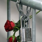Roses are fixed on a fence to commemorate the victims in front of the Oslo court where Norwegian Anders Behring Breivik is on trial to face terrorism and premeditated murder charges, Oslo, Norway.(AP Photo/Frank Augstein)