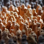 A general view of some of the 40,000 clay figures from Antony Gormley's installation - Field for the British Isles - in three rooms at Barrington Court in Somerset. (PA)