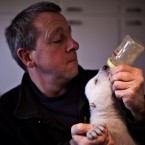 Feeding time (Rasmus Flindt Pedersen/POLFOTO)