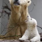 (AP Photo/Frank Augstein)