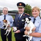 Pictured with Garda Commissioner Martin Callinan, centre, are Gda Fiona Tighe, who is based in Blackrock and uncovered a puppy farm whose owner was selling the puppies from the boot of his car, and Gda Stephen Neylon, based in Tallaght, who rescued a terrier who had been beaten with a baton. Photo: Mark Stedman/Photocall Ireland