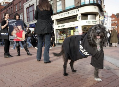 File: Linda Martin, background, and the Wolfhound/Lurcher Lucy launching an ARAN campaign against fur farming.