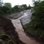 Water flowing into the pond during rainy season in May.