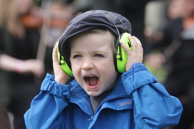 Electric Picnic 2012