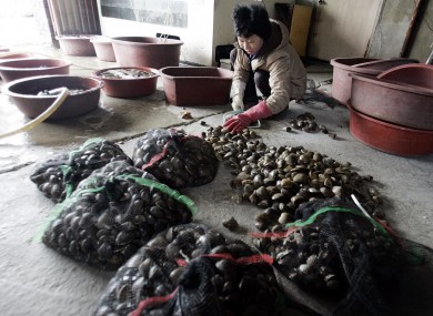 The US's FDA warned that some South Korean shellfish had been contaminated by human waste due to dodgy toilets.