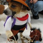 With a costume like this, they can. 
Via <a href=
