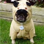 ...are just happy being themselves. Who said a pet could never teach you anything?
via <a href=