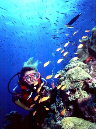 The rich diversity of marine life on Australia's Great Barrier Reef.