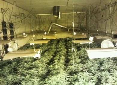 Part of today's drug seizure