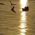 Two men fish during the sunset on the Sava river, in Belgrade, Serbia. (AP Photo/Darko Vojinovic)
