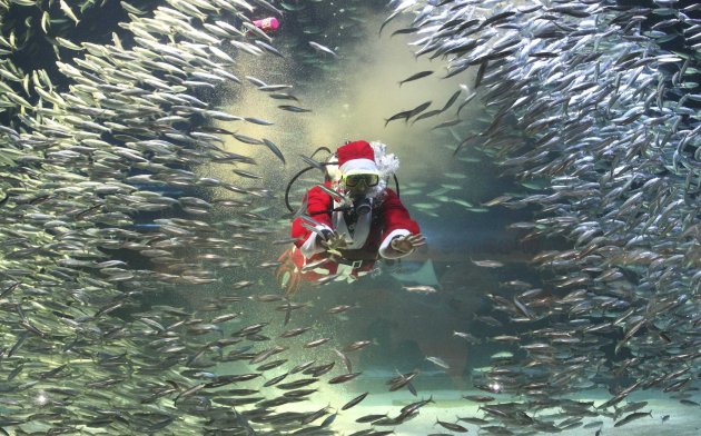 South Korea Christmas