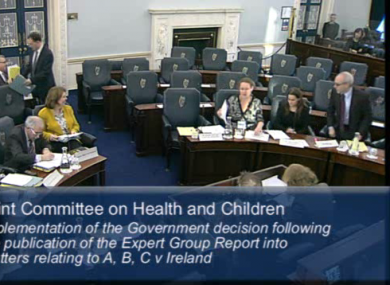 Jennifer Schweppe, Ciara Staunton and Simon Mills (right) attending the Oireachtas this morning.