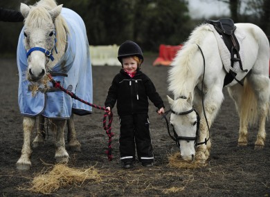 Three-year-old Kasey Lou Carberry at the launch of the ISPCA Hay Drive yesterday.