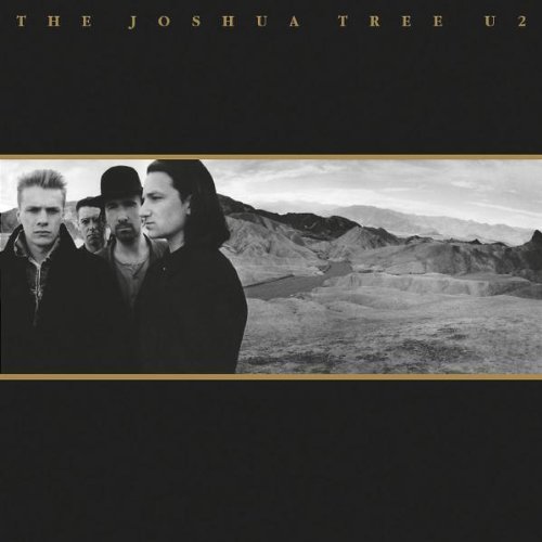 joshua tree