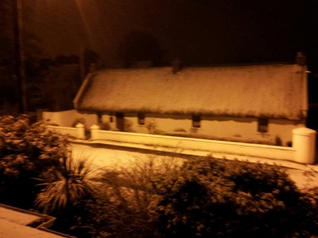 Snow Thatch