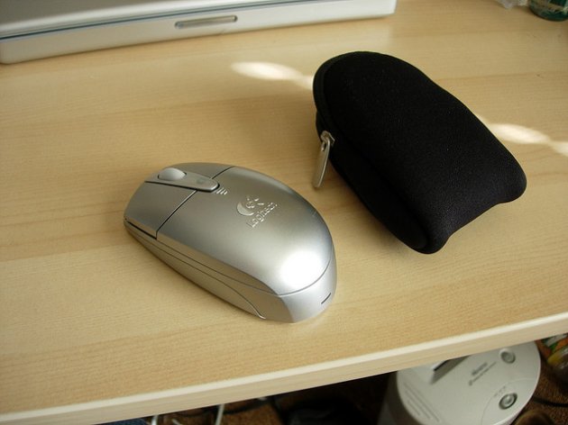 mouse